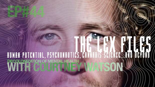 The Lex Files - Lex Pelger