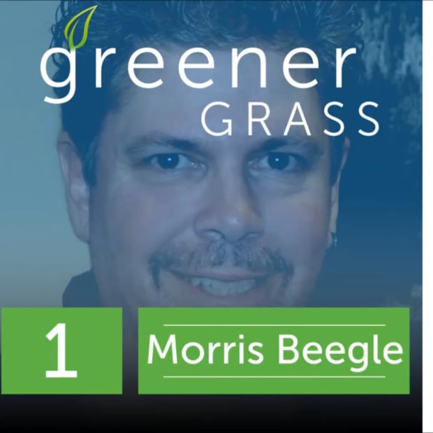 Geener Grass - Morris Beegle (extra white)