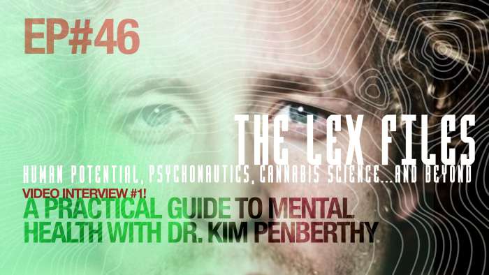 Video Interview #1: A Practical Guide to Mental Health with Dr. Kim ...